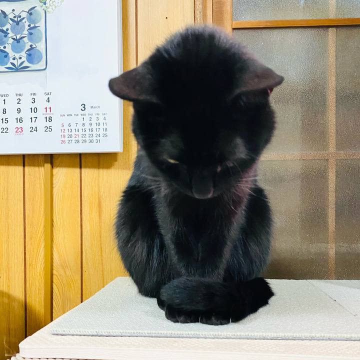 7798219c bfba 4990 9812 3a1e3937c8d4 1676374081044