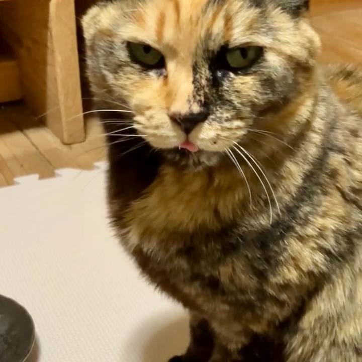 77987ea3 9d23 453d aabb eb8b0941b112 1740249788070