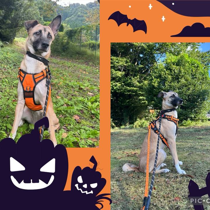 7798abee c788 4dc5 8e77 ad59981cfd21 1727760200542