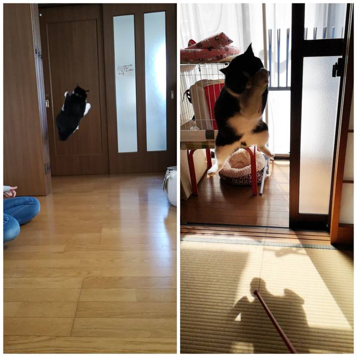 7798c3e7 ce43 4463 a40a 0db2fa197ed6 1584172542244