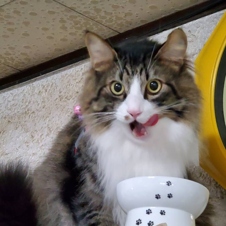 7798ef87 eac8 49ef bb33 62c3bad947ac 1727597239921