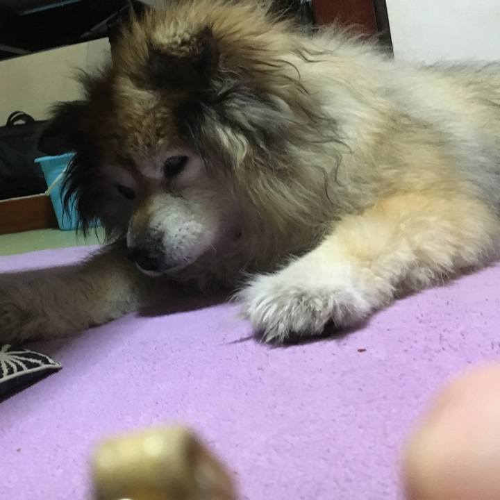 77993100 f072 4e96 8419 96314bf9b057 1601677554843