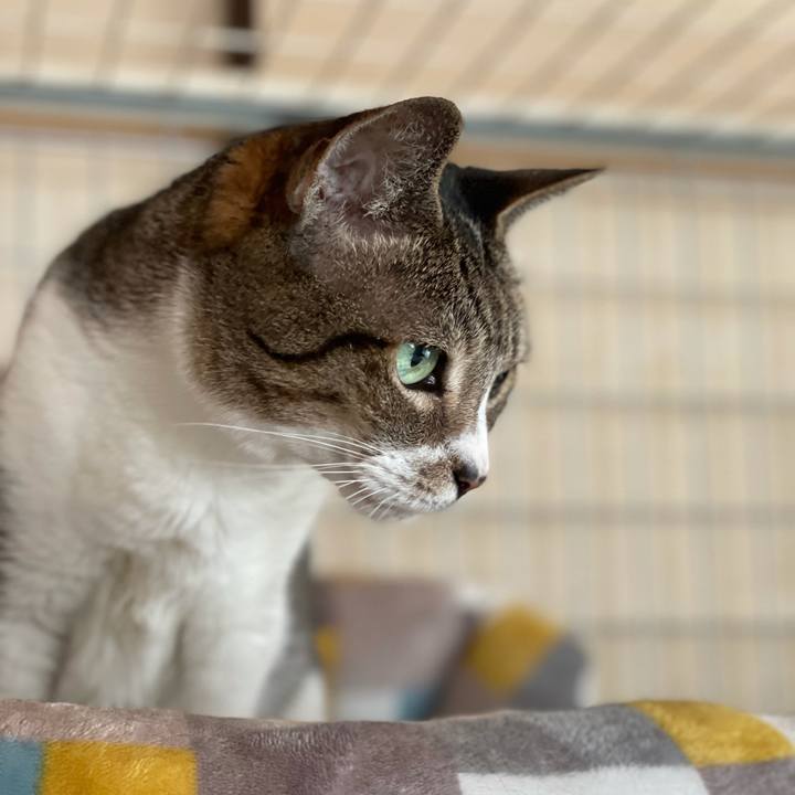 77995547 fb8b 4457 a1c9 37773d662820 1631410531359