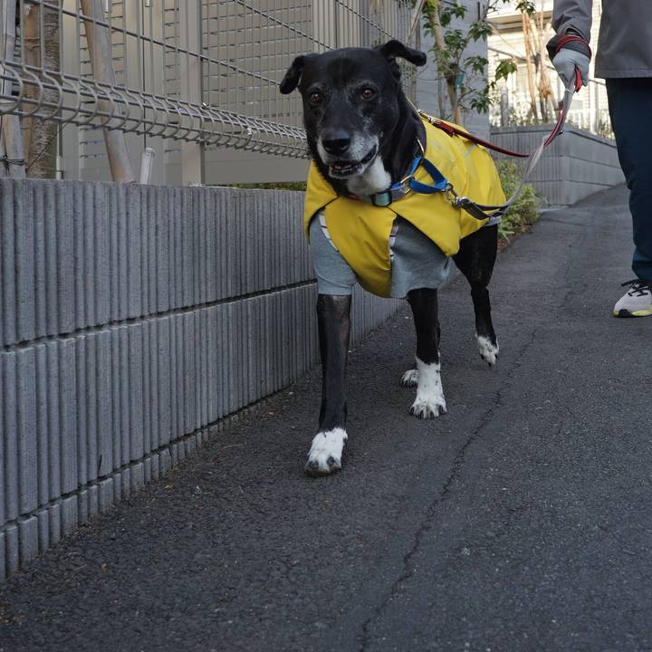 77995700 3563 44ac b18d ce0179006f2a 1767143100932