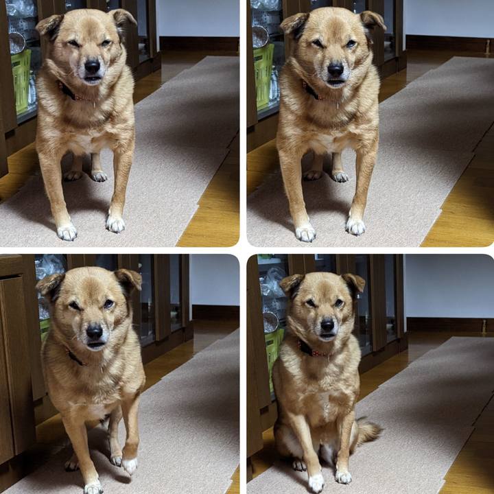 77995f4b bd22 47d6 b41b 6914d74d9620 1670849889824