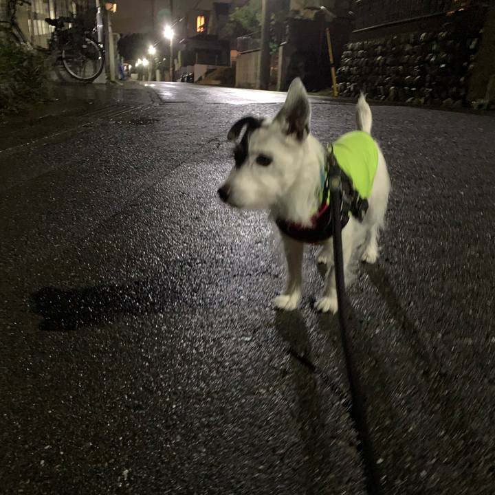 7799af05 8783 4fa4 86a2 902558620252 1730896442158