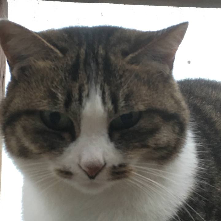 779a0208 929b 4021 b775 260b2500e9e0 1508400630217