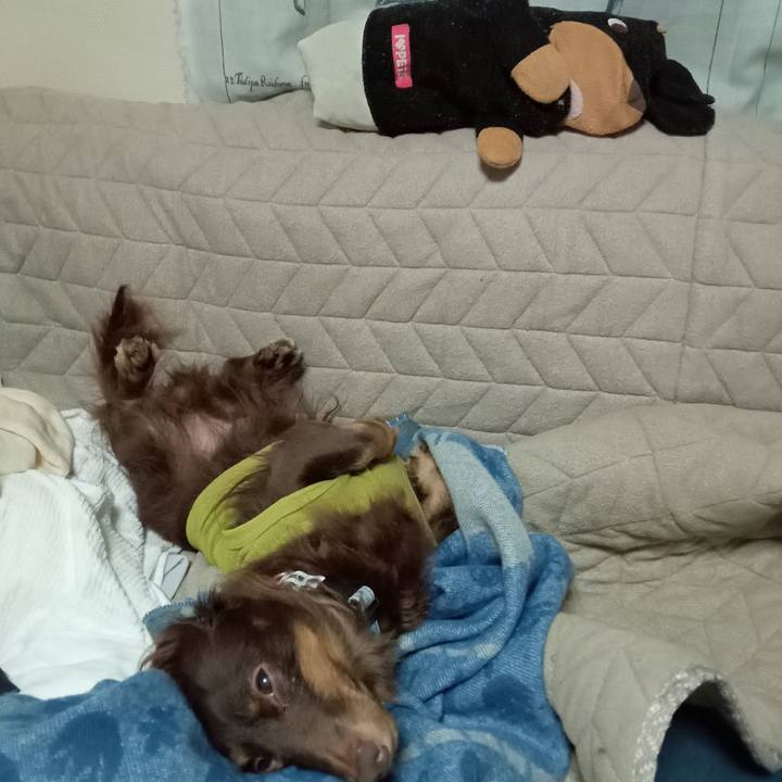 779a1053 dcef 4a0a ae83 35b1fa0a5088 1763501769043