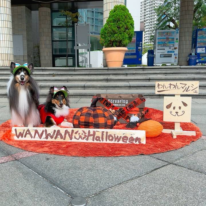 779a3594 1841 4321 9749 31287ebf6b59 1760891708030