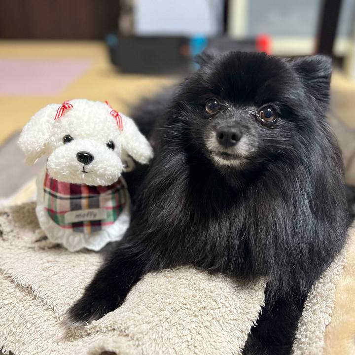 779a3d4f f563 4d21 9e8f 158cb95498d7 1774698711113