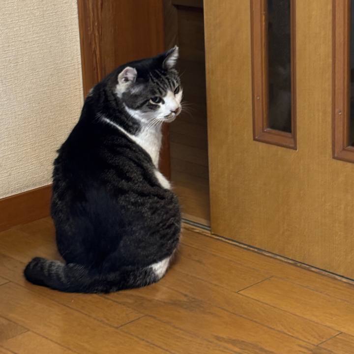 779a6782 a00e 4767 bf9e 3f3fd044fad7 1770773506177