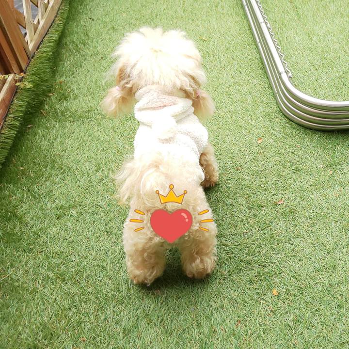 779a684c 0e84 484a a03f a41c34b791f4 1575027033460