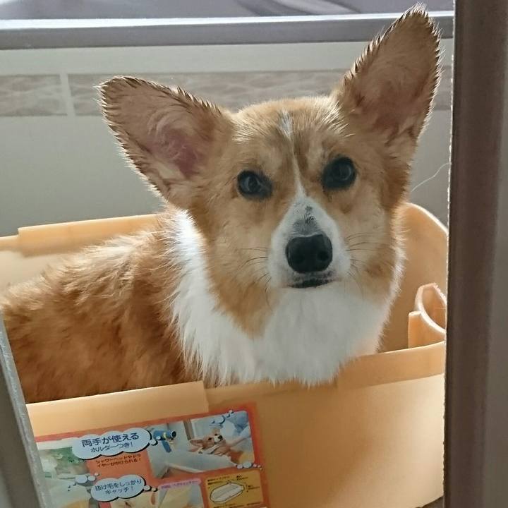 779a76e8 6423 4fde a2dd 22bb009d1437 1529203919555