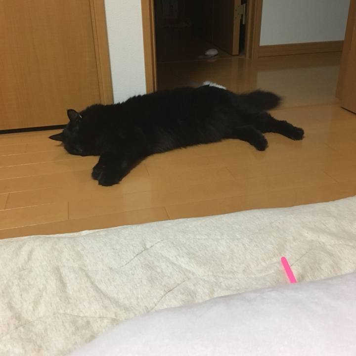 779a7bd9 c5bc 46e6 a592 9919cc5597f1 1535548006002