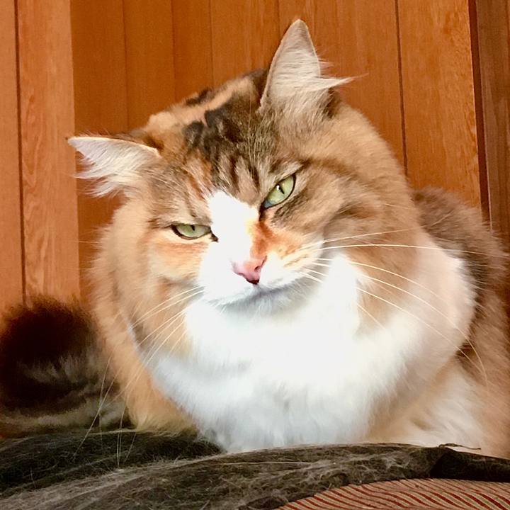 779aa752 0aad 4277 a204 394edac9fd69 1580982879971