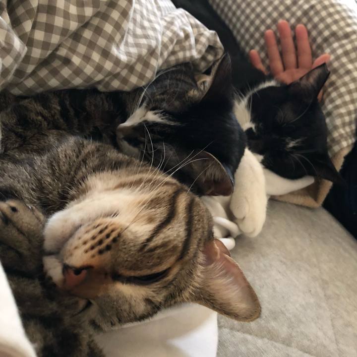 779ae5fd 254c 4644 a1ca ae41fda70c75 1546779761976