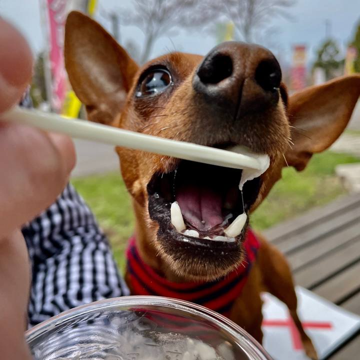 779b0e1b bd84 41f4 bd57 f52710b21b80 1620206521217