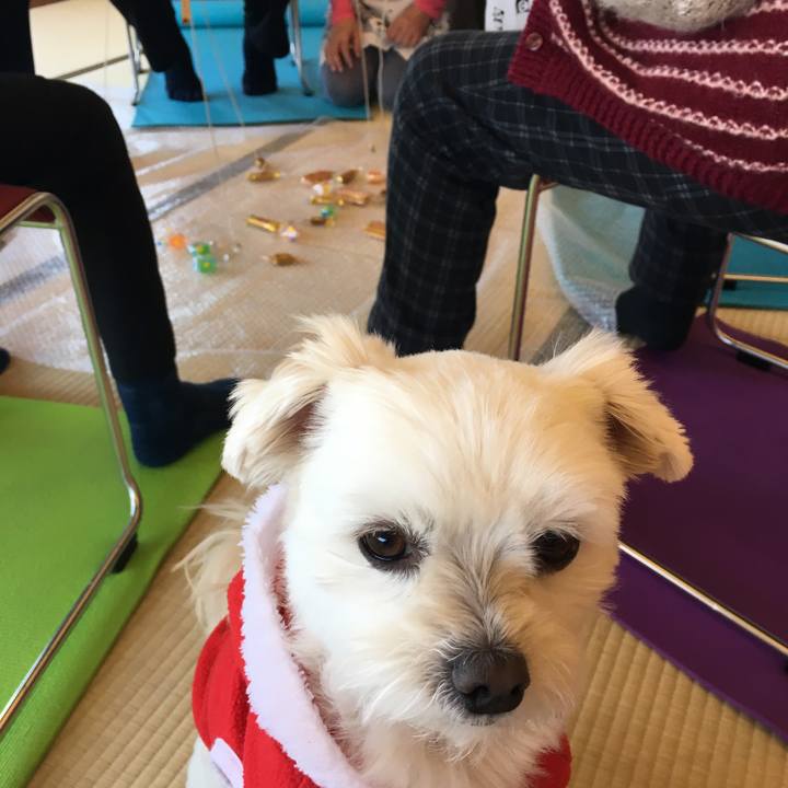 779b15b3 d804 47bf b5d0 00bcfda9f28f 1513912792361