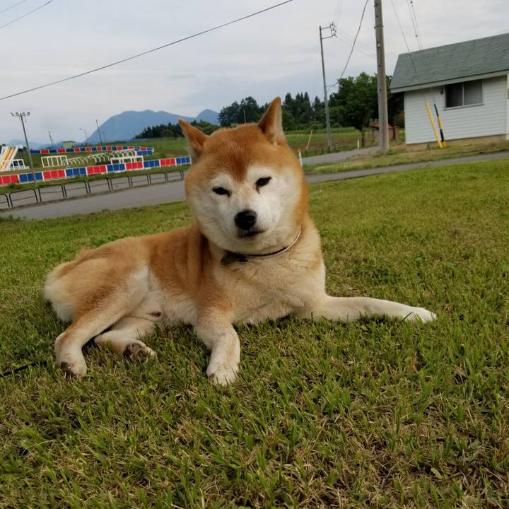 779b2944 5799 4105 bf56 81e5581b30d7 1623489854071