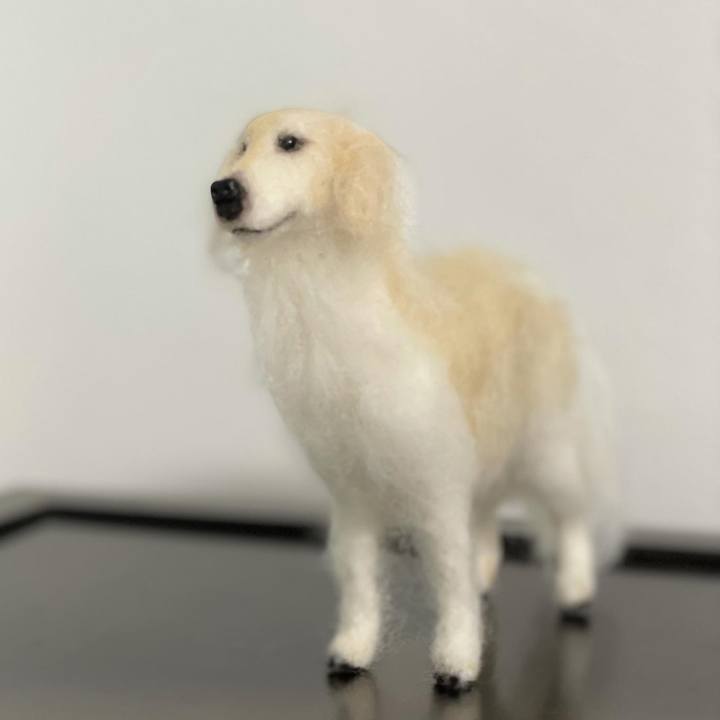 779b40fa ff0b 4b1f 8443 b04358e4bbbb 1635310442182