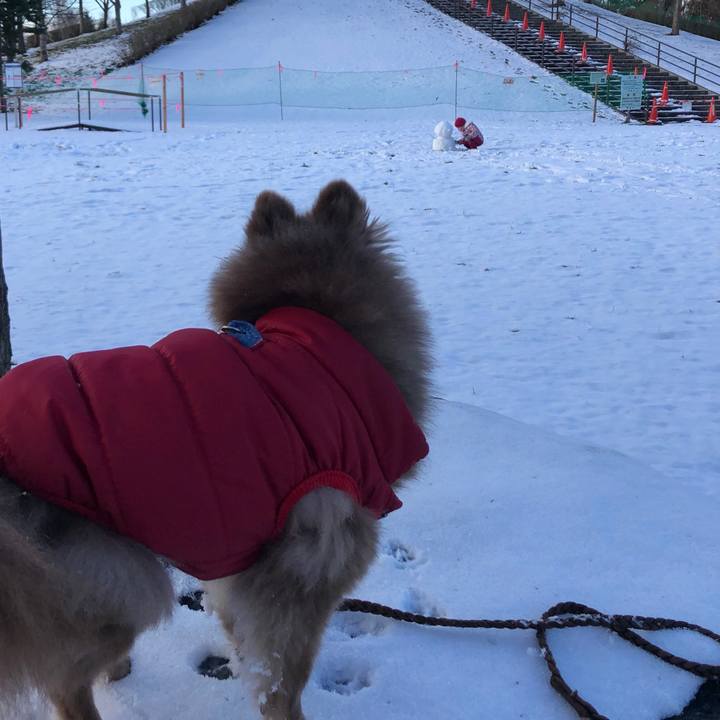 779b7f7d feb0 49ab b3cb 6e96914b637c 1639451449467