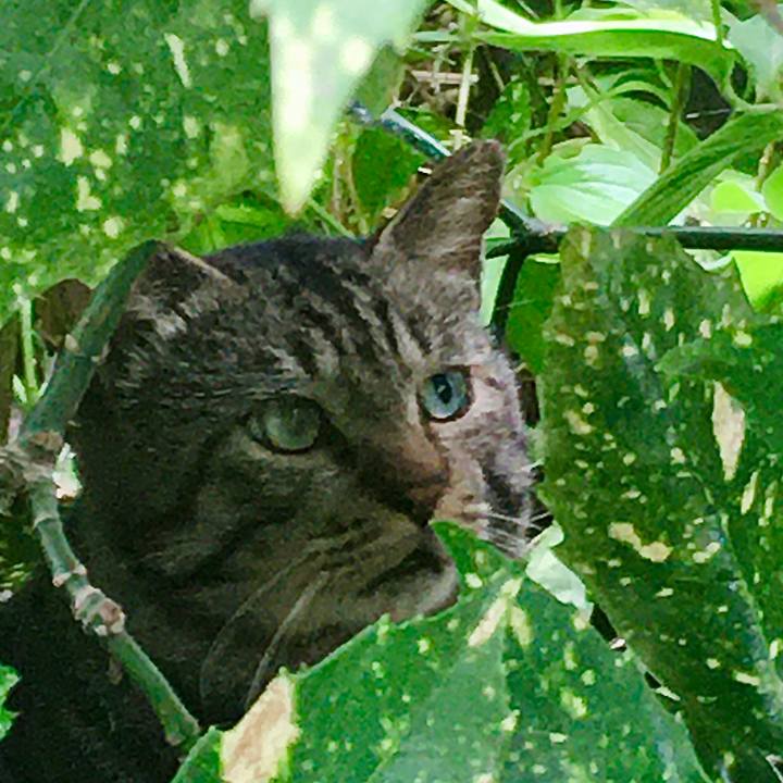 779b94cf b0a7 49f6 89fb a557ce18f30b 1629785013213