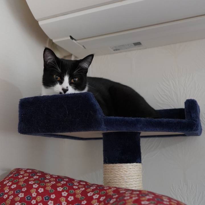 779bb3fe 9821 4e16 8320 411da2833d23 1583188659476