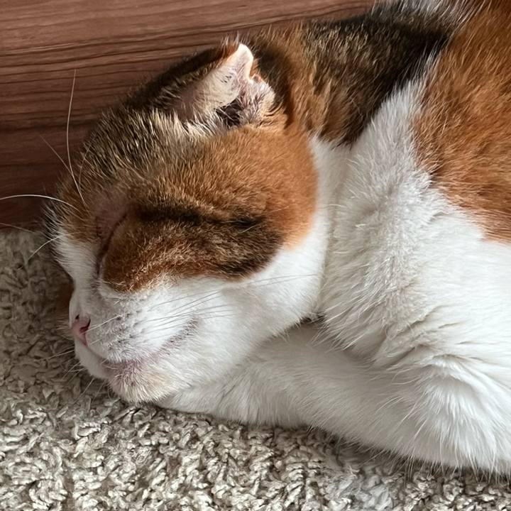 779bed4e a630 45bb abbc 9fb052322007 1728803312658