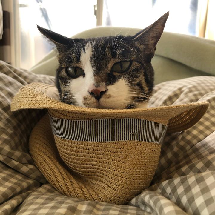 779c19e0 e640 4979 a8c0 46897b468d95 1618634010313