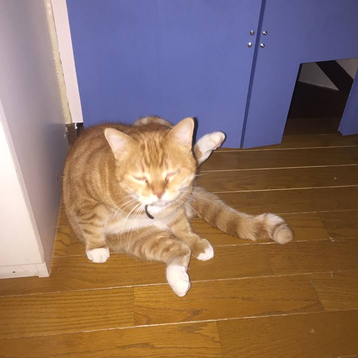 779c1b06 8230 4c39 bd19 33b94efe0d37 1547591986107