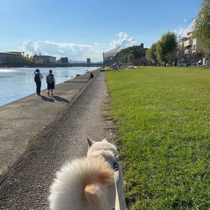 779c57e3 4613 4562 b365 3efb26e3a547 1635321873422