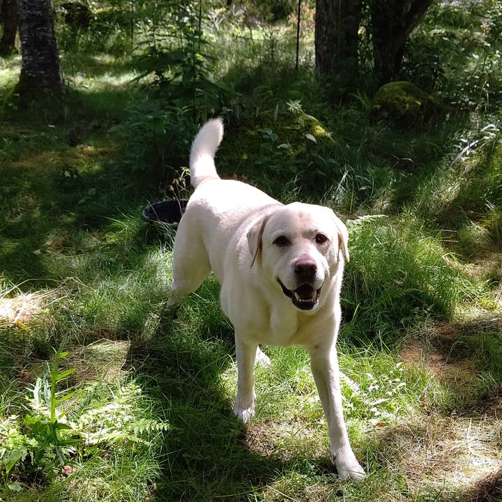 779c6ab5 29d0 4a06 b2e7 abd4c479be0d 1660206473727