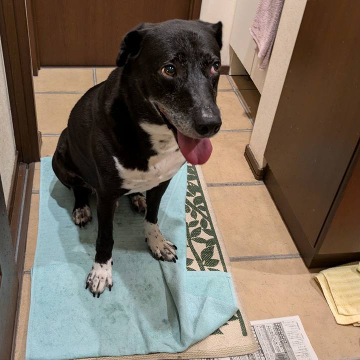 779c9915 c2e4 4f6f 8c8d 0d1968956557 1724062635000