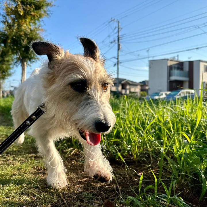 779cfd2b fb5d 4436 b34d c179e8bdcced 1728736605748