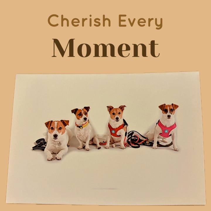 779d1047 1161 405f 9d5c 1207396d6cd6 1726926569335