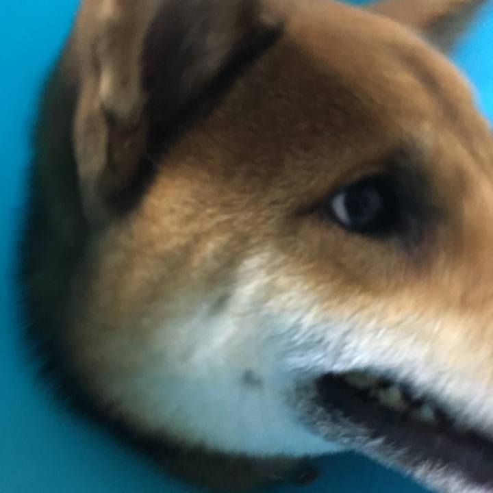 779d18df a9cf 4f90 b664 df1964f5ebde 1542452200361