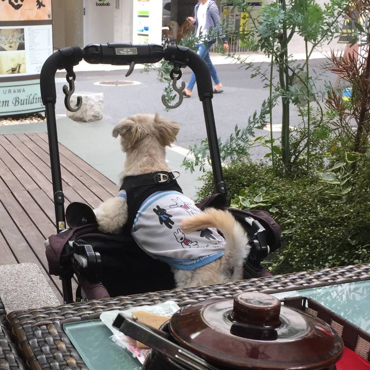 779d1dff 60e6 409d 9e1b 64d672180f7b 1535795511402