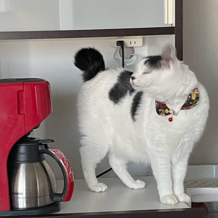 779d277d 4c98 4754 ab56 3d50983a1c33 1643762127116