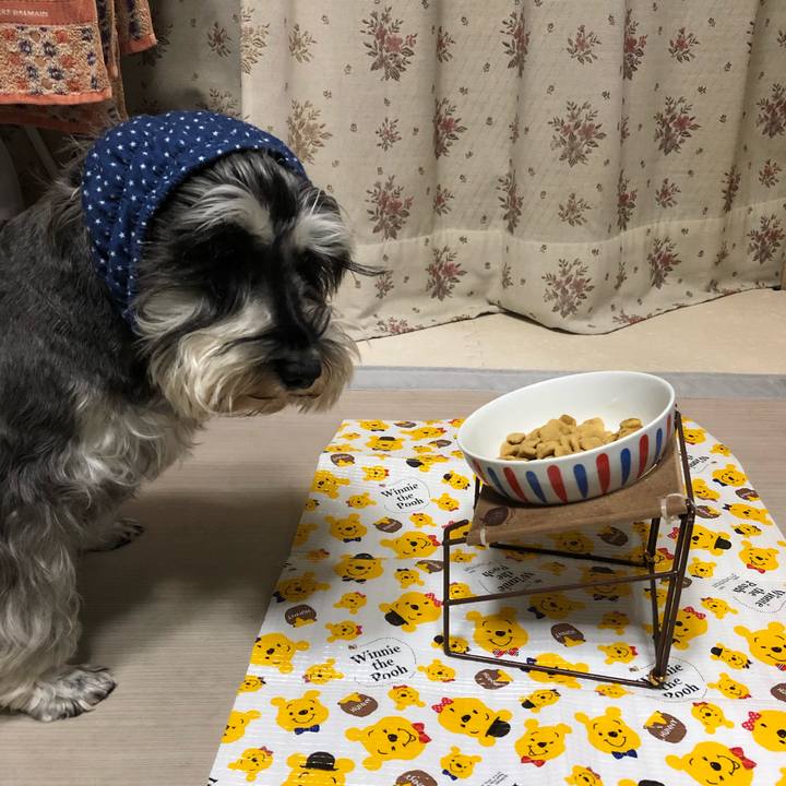 779d2c07 e716 42be aea2 407d93cbb1d2 1639221409140