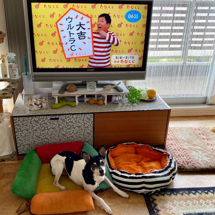 779d3610 b25e 4a87 94cf 70cd0d7f99b3 1588543220689