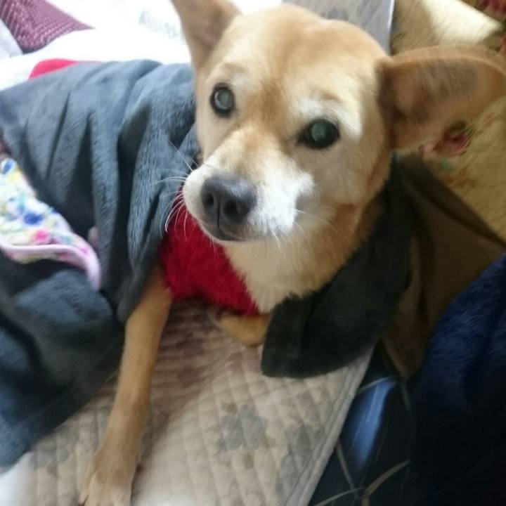 779d3d5e 344d 4cba a781 5d923b47dc4e 1512889912302