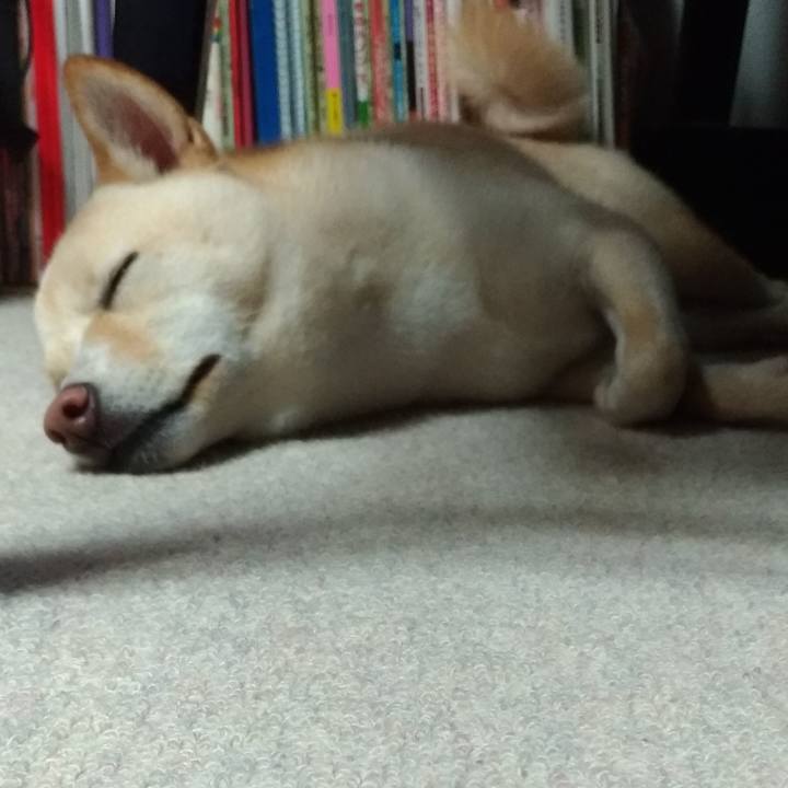 779d49b5 6891 40b7 be1b 0e07d4209790 1534766712035