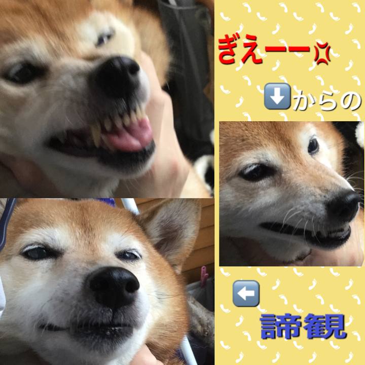 779d553c b9c5 4bed b8b2 0e9f5e683d27 1624759792565