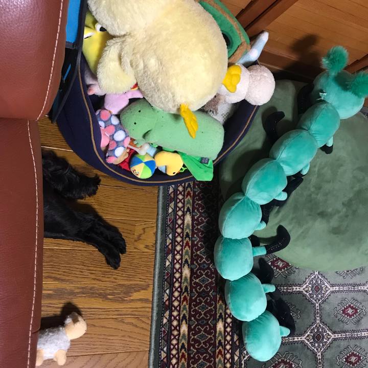 779d835e a90b 455e a75c d4d124152513 1567689353138