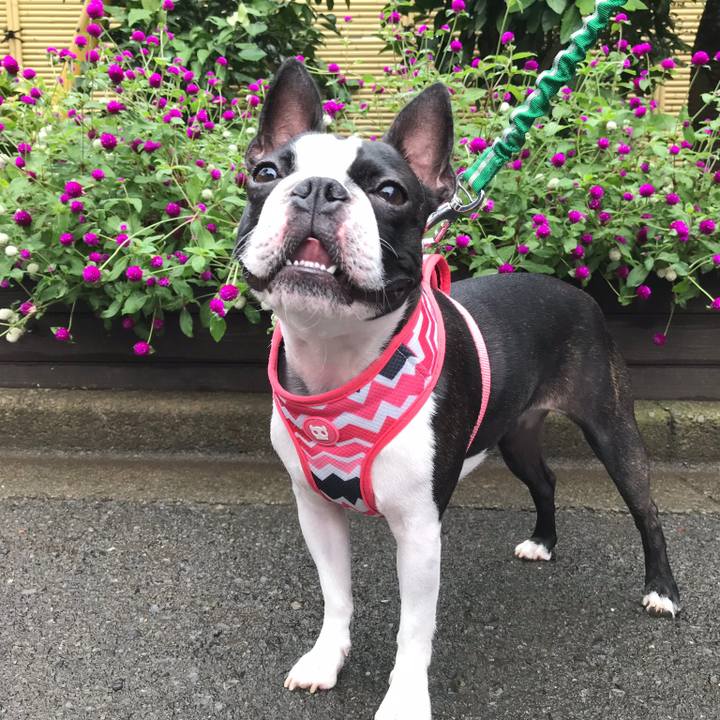 779d8e9f b467 4252 8a93 5627b617d5d6 1535877331968