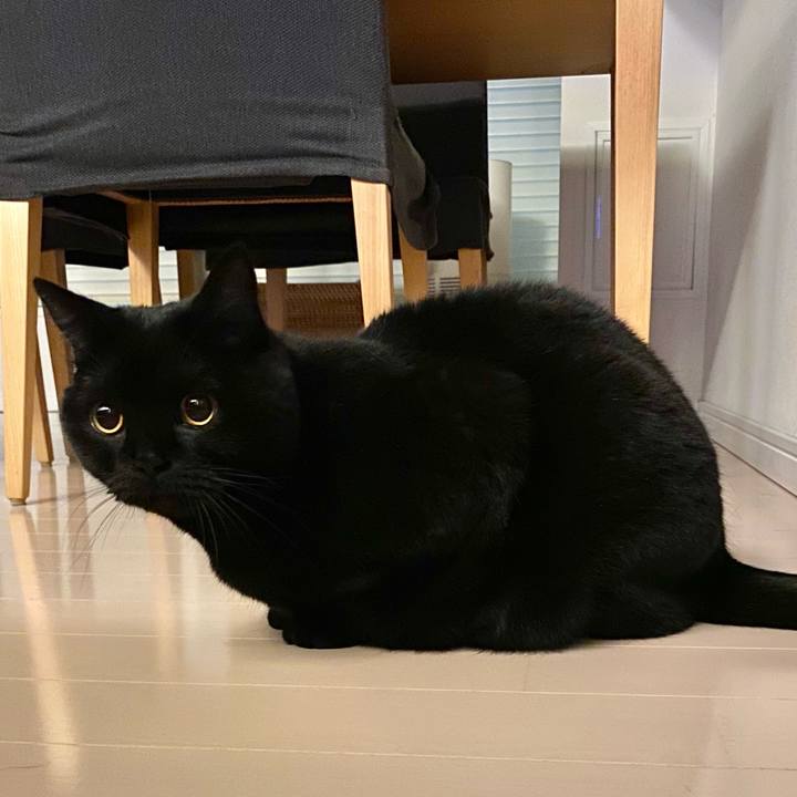 779d900a 5de9 41e6 aa0c 85a13ca6c199 1644932738533