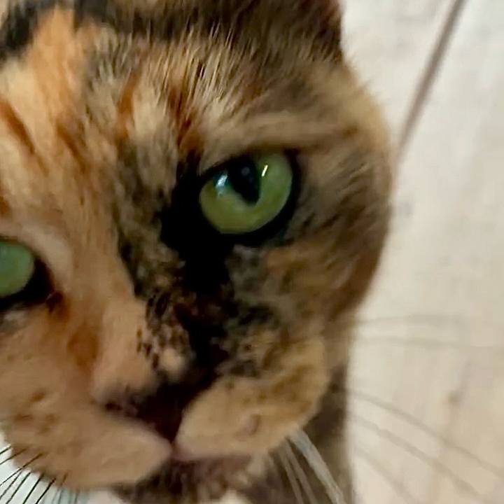 779dc116 e81d 4f4b b092 363fda6b5047 1752754457194