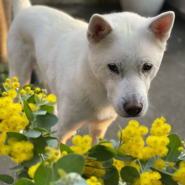 779dcf92 69d8 4bd3 98de 76f8cbade012 1679225200058