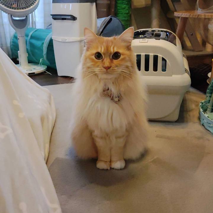 779dd662 a5ce 4de1 944f ac3714c7759e 1680489704880