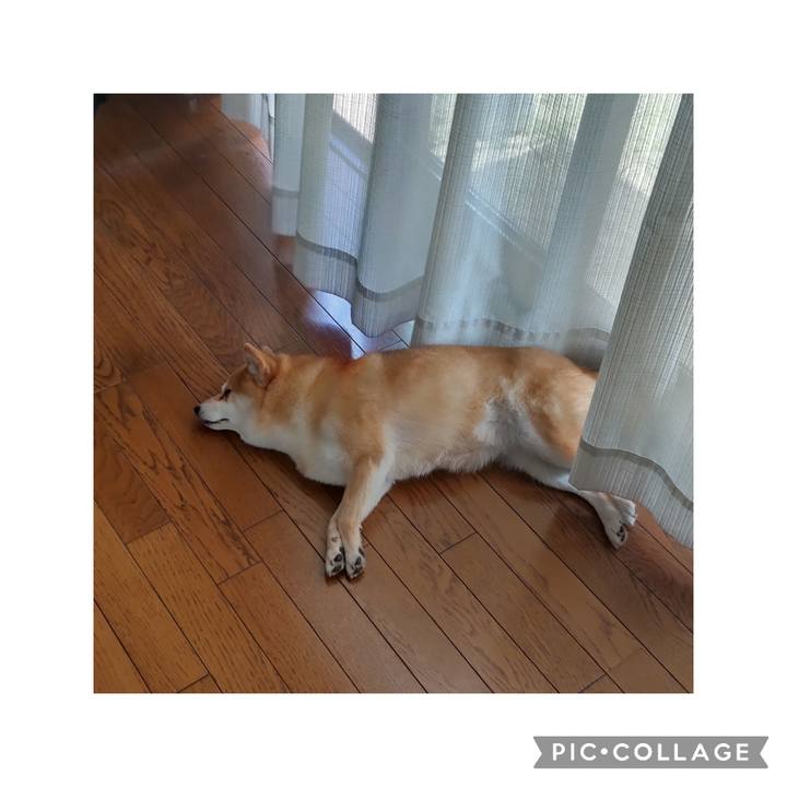 779dd9bf 622a 4b2c 8316 94095ea998bb 1750042511440